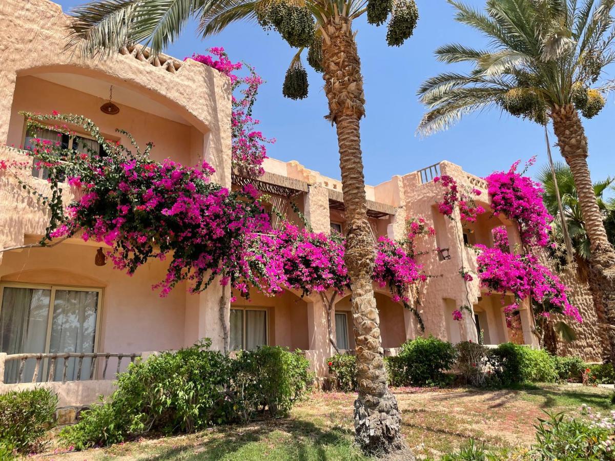 Blue Lagoon View Resort & Spa Marsa Alam Exterior foto